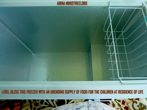 thank you for the new freezer ABINA donors!